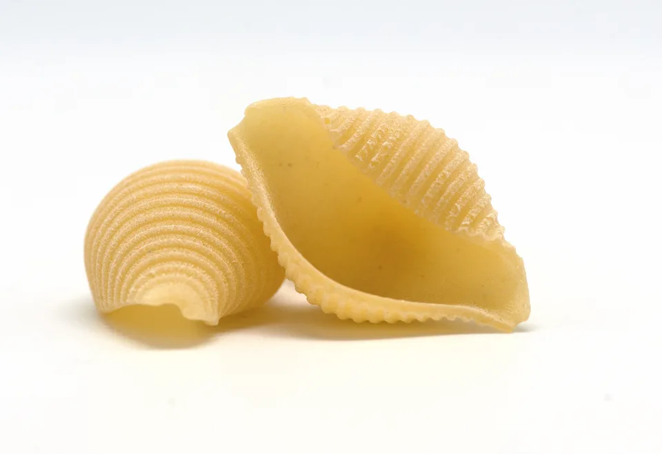 Conchiglie, photographed