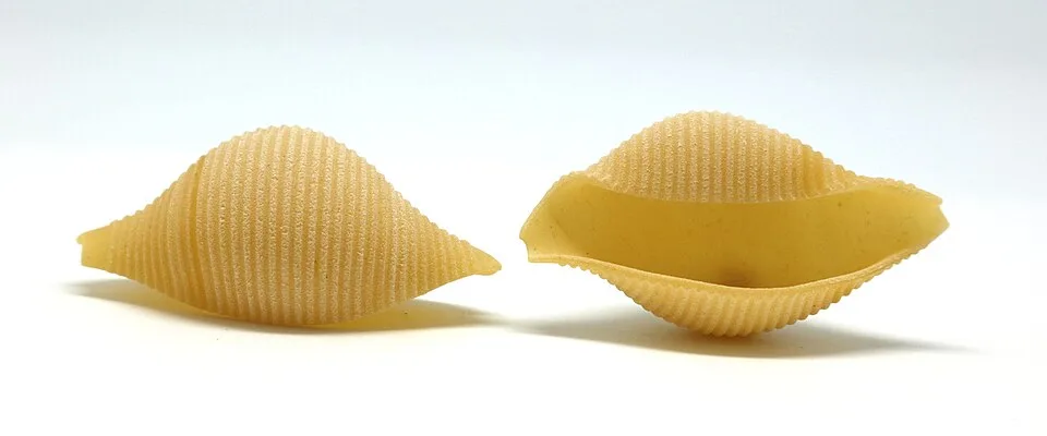 Conchiglioni, photographed