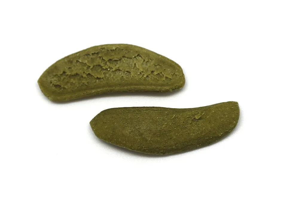 Foglie d'ulivo, photographed