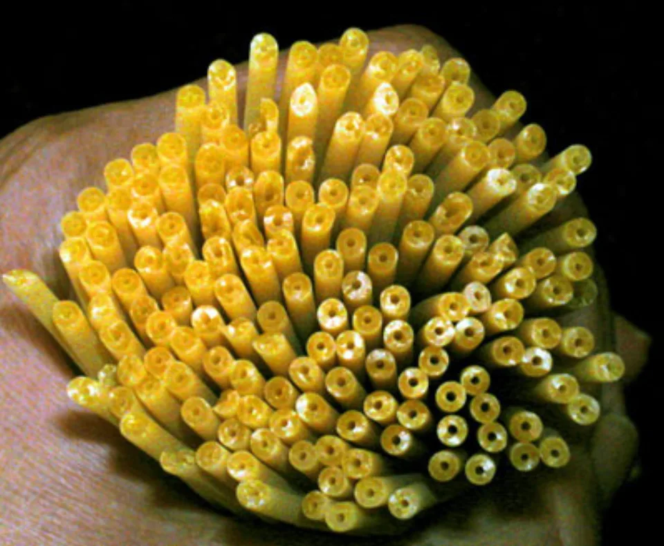 Perciatelli, photographed