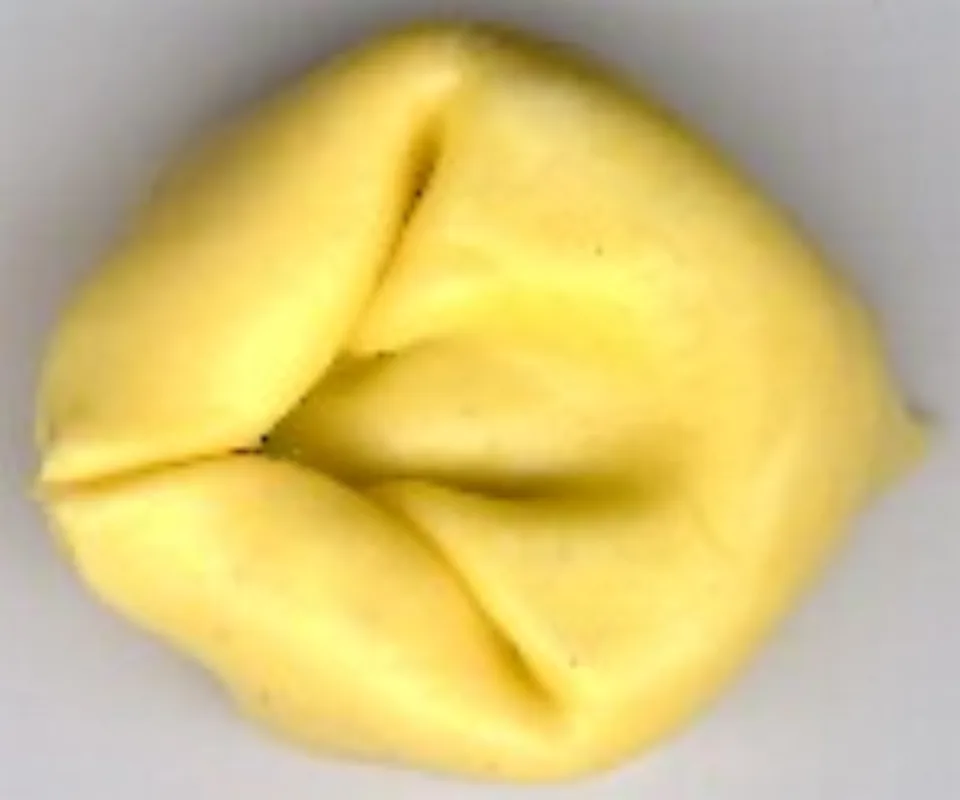 Tortelloni, photographed
